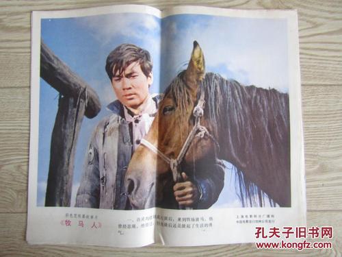 卧龙岗大学degree